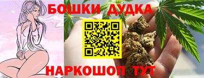 мдпв Долгопрудный