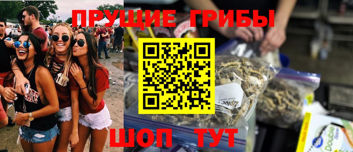 Галлюциногенные грибы Cubensis Новочебоксарск