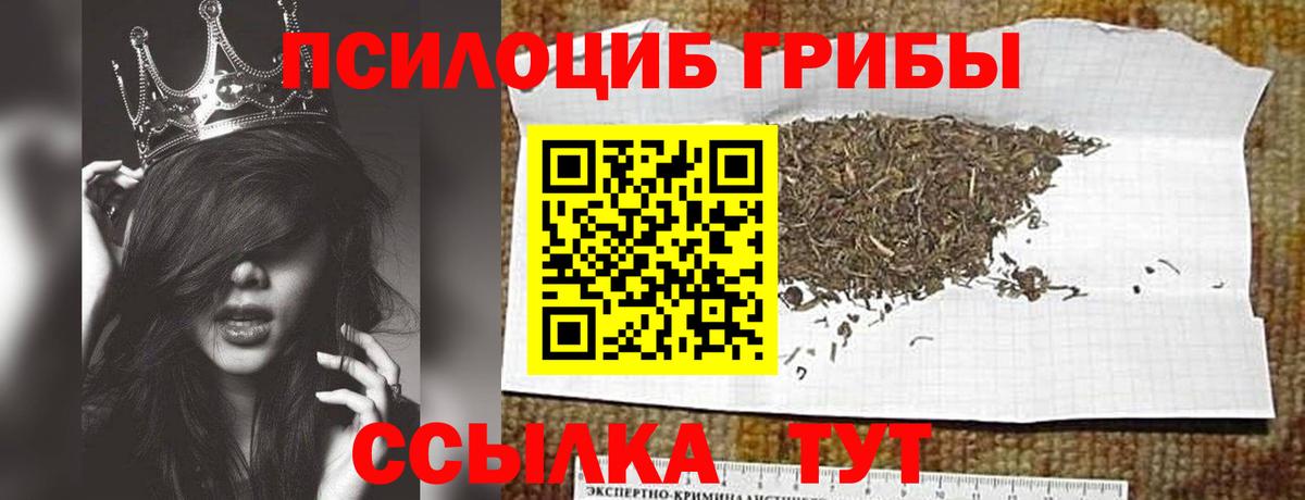 Галлюциногенные грибы Psilocybine cubensis  Вход с VPN  Галлюциногенные грибы мицелий  Новочебоксарск 